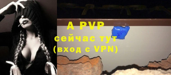 спайс Касимов