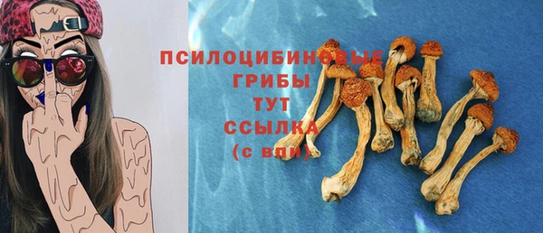 спайс Касимов