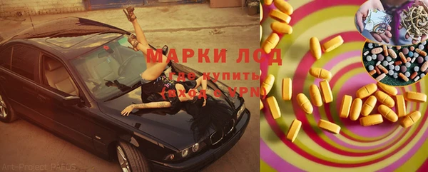 спайс Касимов