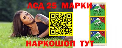 шишки Татарск